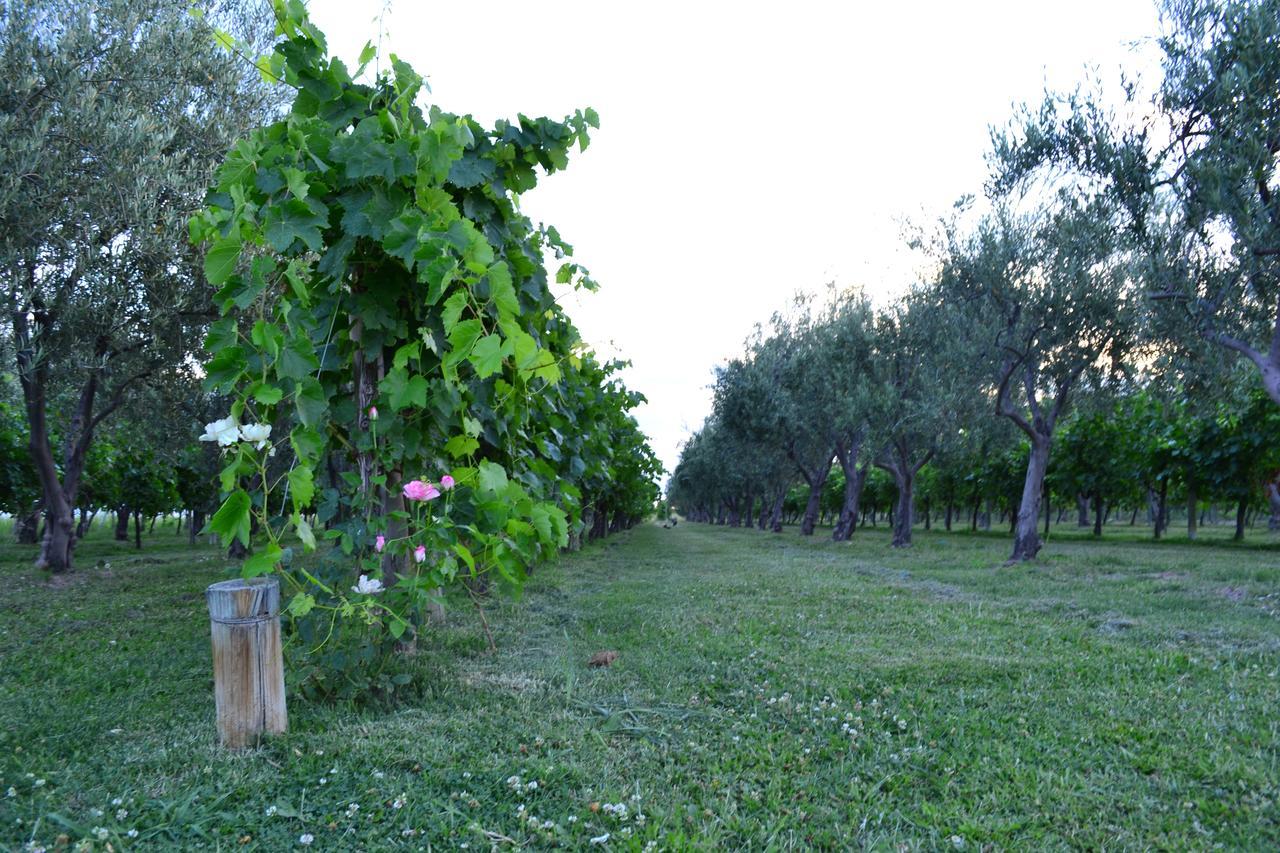 Finca Fisterra Maipú Екстериор снимка