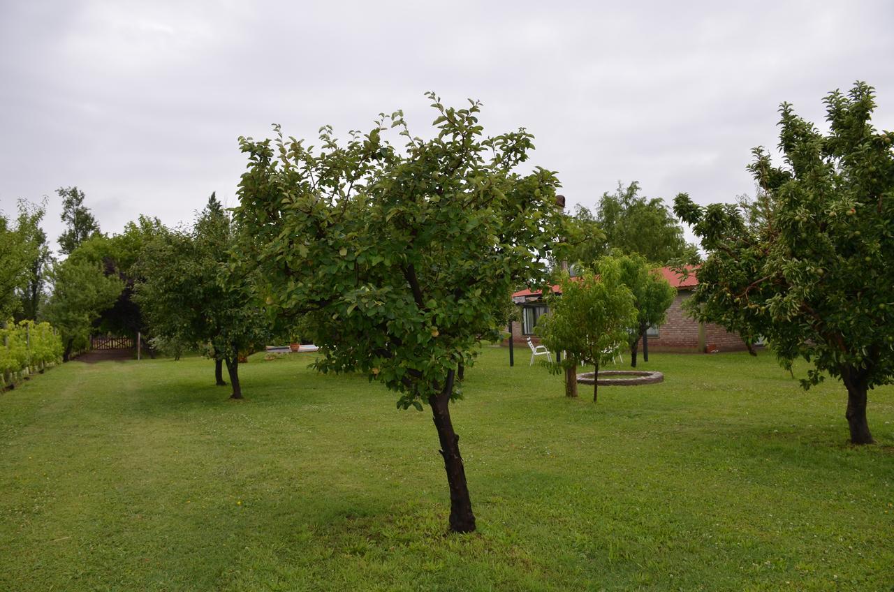 Finca Fisterra Maipú Екстериор снимка