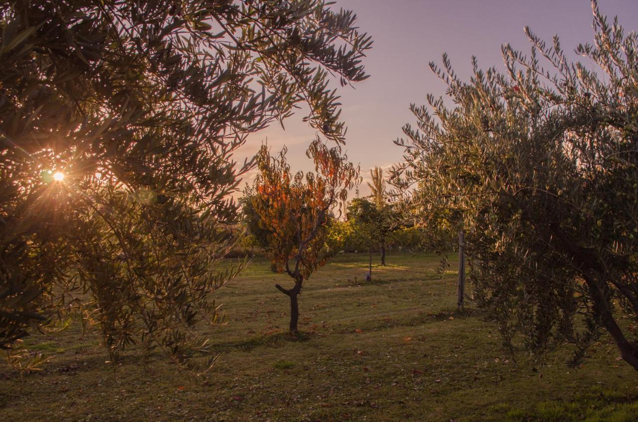Finca Fisterra Maipú Екстериор снимка