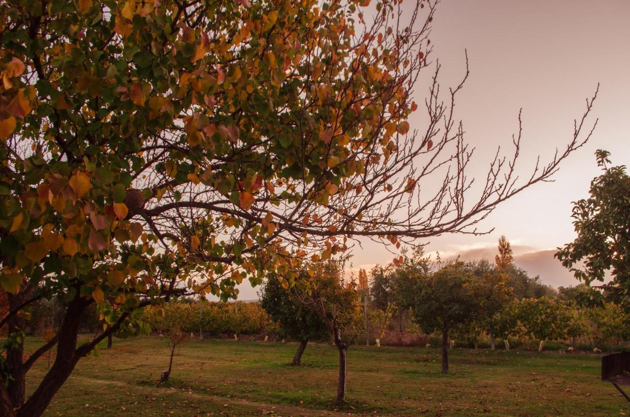 Finca Fisterra Maipú Екстериор снимка
